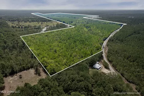 000 Rockhill To Lumberton Rd, Purvis, MS 39475