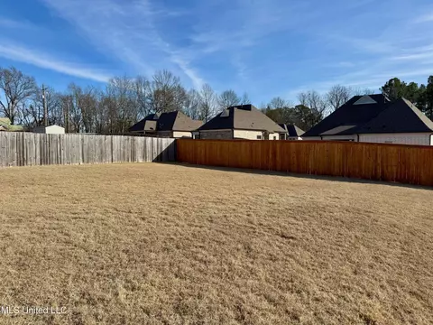 Exterior - 521 Abey Ln, Hernando, MS 38632 photo 7 of 7