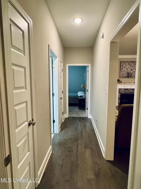 Entry Way - 521 Abey Ln, Hernando, MS 38632 photo 4 of 6