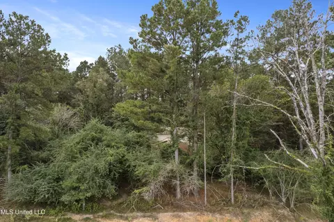 Parcel A Highway 42, Richton, MS 39476