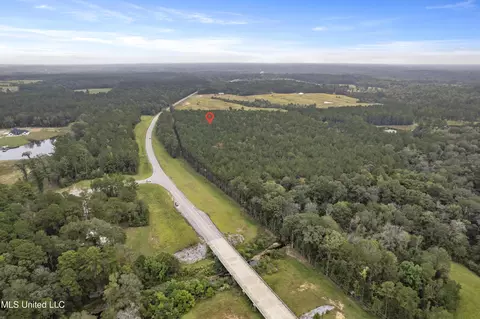 Parcel B Highway 42, Richton, MS 39476