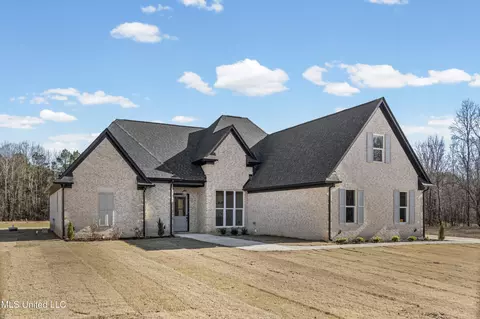 Exterior - 5064 Sophia Ln, Hernando, MS 38632 photo 3 of 5