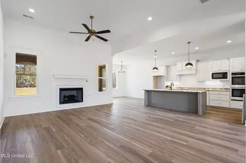 Living - 5064 Sophia Ln, Hernando, MS 38632 photo 3 of 3