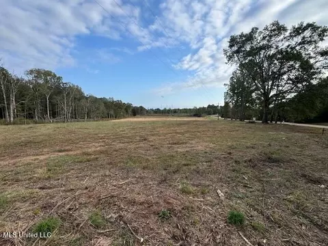 124 Davis Crossing Rd, Canton, MS 39046 photo 3