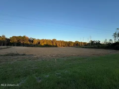 124 Davis Crossing Rd, Canton, MS 39046 photo 5
