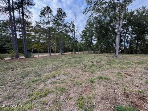 124 Davis Crossing Rd, Canton, MS 39046 photo 4