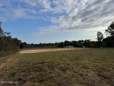 124 Davis Crossing Rd, Canton, MS 39046 photo 6
