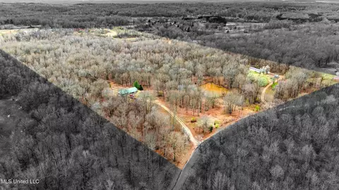 247 Sandy Branch Rd, Sarah, MS 38665