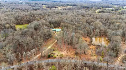 247 Sandy Branch Rd, Sarah, MS 38665