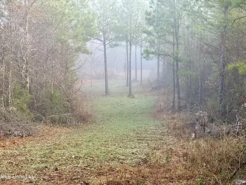 960 Old 51 Rd, Pickens, MS 39146