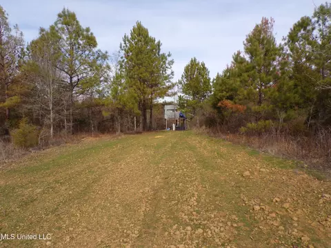 960 Old 51 Rd, Pickens, MS 39146 photo 9