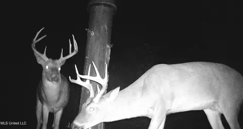 960 Old 51 Rd, Pickens, MS 39146 photo 13