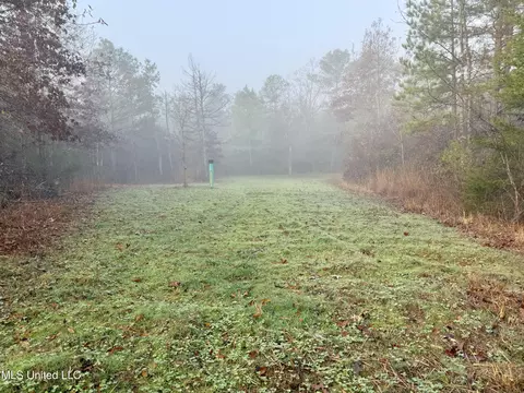 960 Old 51 Rd, Pickens, MS 39146 photo 2