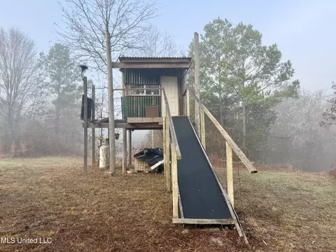 960 Old 51 Rd, Pickens, MS 39146 photo 15