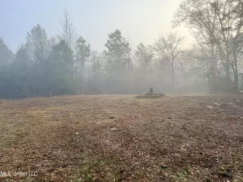 960 Old 51 Rd, Pickens, MS 39146 photo 3
