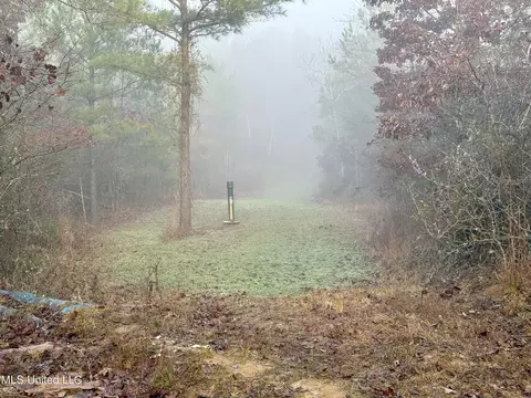 960 Old 51 Rd, Pickens, MS 39146 photo 8