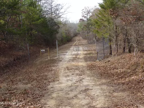 960 Old 51 Rd, Pickens, MS 39146 photo 10