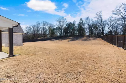 Exterior - 5133 Camp Xing, Hernando, MS 38632 photo 8 of 9
