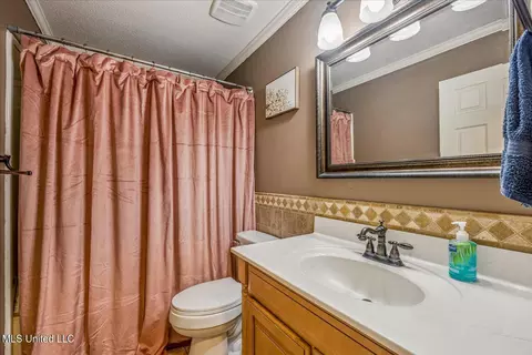 Bath - 4609 Big Horn Dr, Nesbit, MS 38651 photo 1 of 2