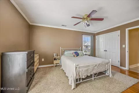 Other - 4609 Big Horn Dr, Nesbit, MS 38651 photo 3 of 10