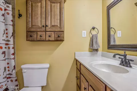 Bath - 4609 Big Horn Dr, Nesbit, MS 38651 photo 2 of 2