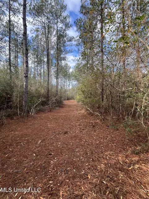 40 Acres Off Deep Creek Rd, Wiggins, MS 39577