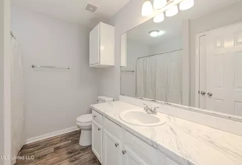 Bath - 349 Audubon Cir, Brandon, MS 39047 photo 2 of 2