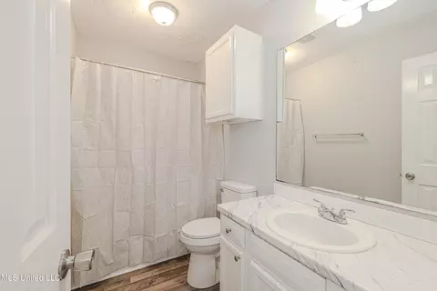 Bath - 349 Audubon Cir, Brandon, MS 39047 photo 1 of 2