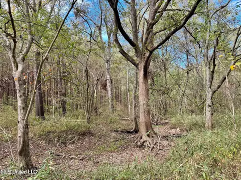 Yandell Road, Madison, MS 39110 photo 17