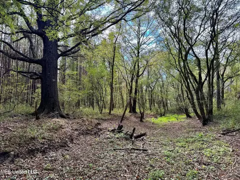 Yandell Road, Madison, MS 39110 photo 16