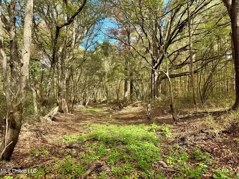 Yandell Road, Madison, MS 39110 photo 15