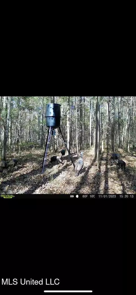 Yandell Road, Madison, MS 39110 photo 8