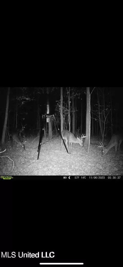 Yandell Road, Madison, MS 39110 photo 7