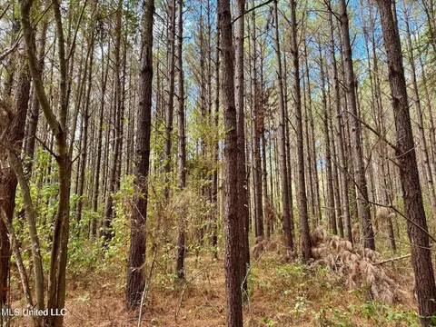 Yandell Road, Madison, MS 39110 photo 18