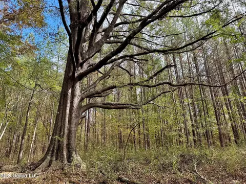 Yandell Road, Madison, MS 39110