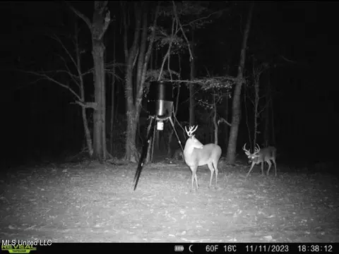 Yandell Road, Madison, MS 39110 photo 11