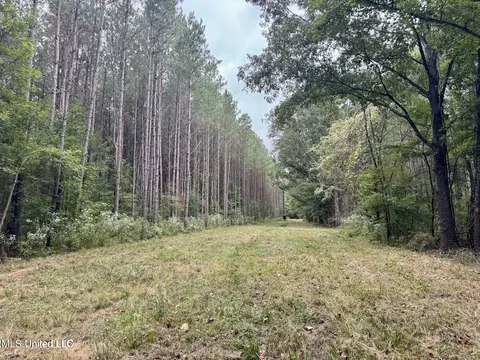 Yandell Road, Madison, MS 39110 photo 20