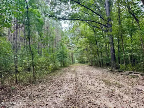 Yandell Road, Madison, MS 39110 photo 2