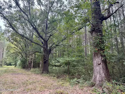 Yandell Road, Madison, MS 39110 photo 4