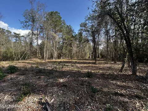 0 Lakeside Dr, Carriere, MS 39426