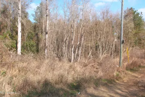 3103 570, Summit, MS 39666
