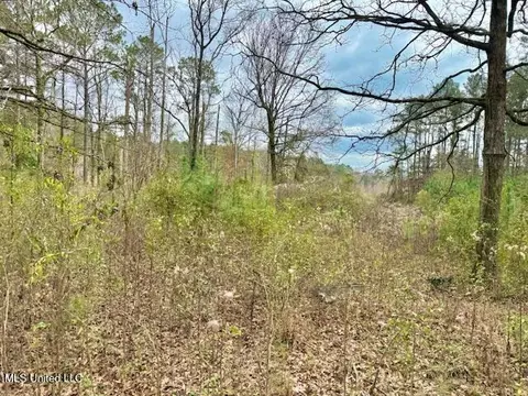 Other - 2003 NW Zetus Rd, Brookhaven, MS 39601 photo 12 of 12