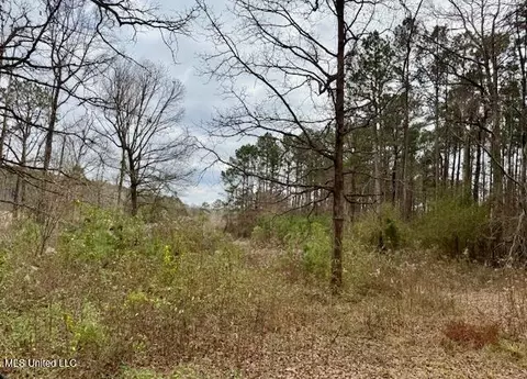 Other - 2003 NW Zetus Rd, Brookhaven, MS 39601 photo 11 of 12