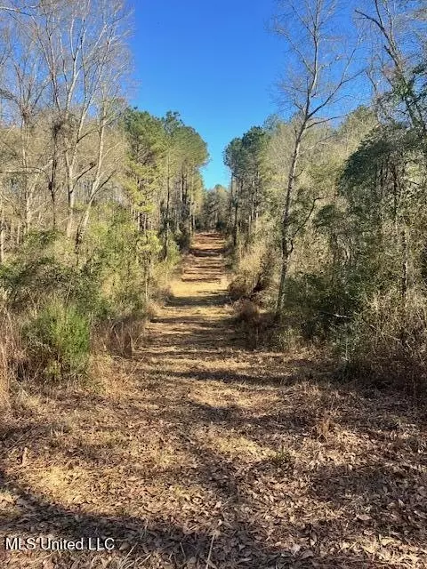 00 E Shivers Booth Rd, New Hebron, MS 39140 photo 7