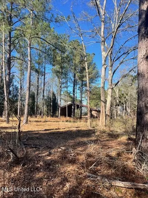 00 E Shivers Booth Rd, New Hebron, MS 39140 photo 8