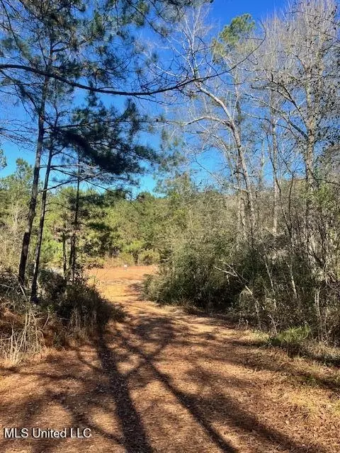 00 E Shivers Booth Rd, New Hebron, MS 39140 photo 6