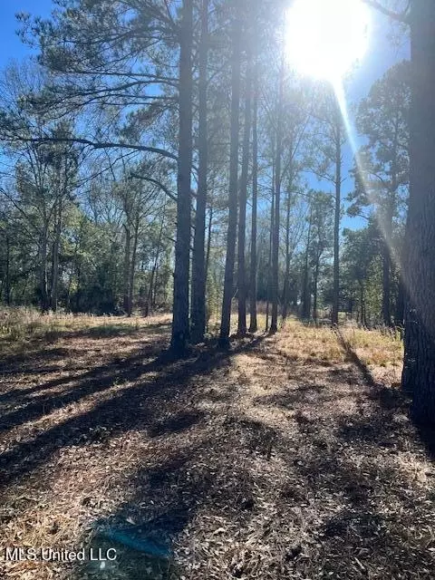 00 E Shivers Booth Rd, New Hebron, MS 39140 photo 5