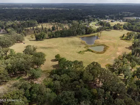 325 W Main St, Florence, MS 39073 photo 20