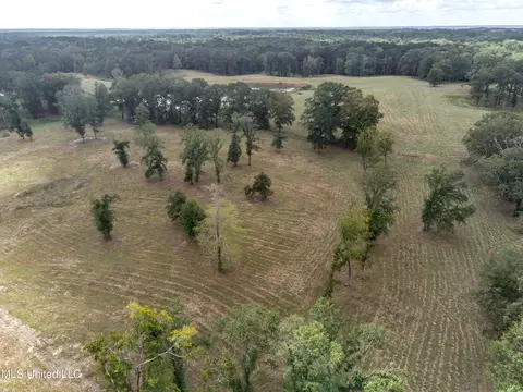 325 W Main St, Florence, MS 39073 photo 22