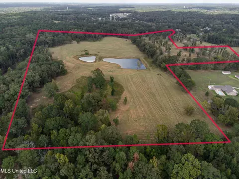 325 W Main St, Florence, MS 39073 photo 5